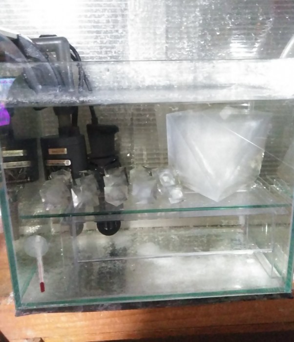 大きなミョウバンの結晶作り 大きなミョウバンの結晶作り